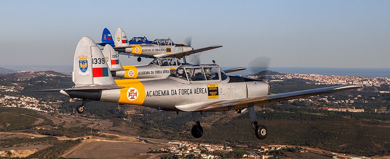 54325606770_63fef9e4e5_c.jpg (111 KB)