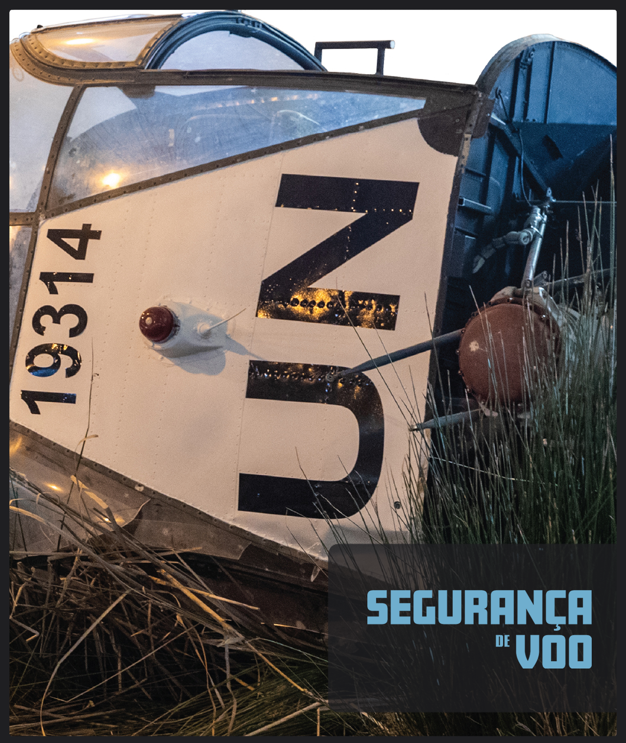 CARTAZ POS GRADUA&Ccedil;&Atilde;O EM SEG VOO-01 edited.png (3.27 MB)